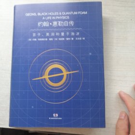 约翰·惠勒自传 京子、黑洞和量子泡沫（名家力作）