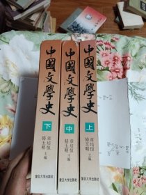 中国文学史（上中下）