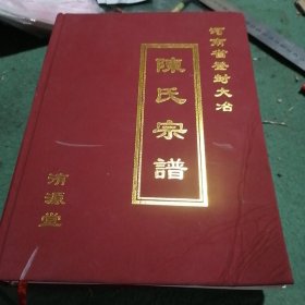 河南省登封大冶 陈氏宗谱