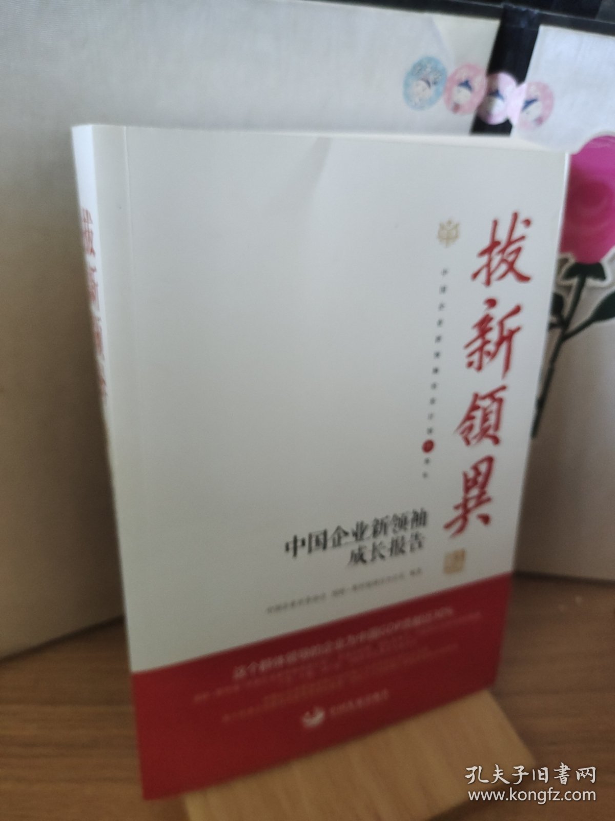 拔新领异 中国企业新领袖成长报告