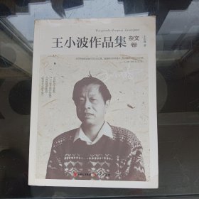 王小波作品集.杂文卷