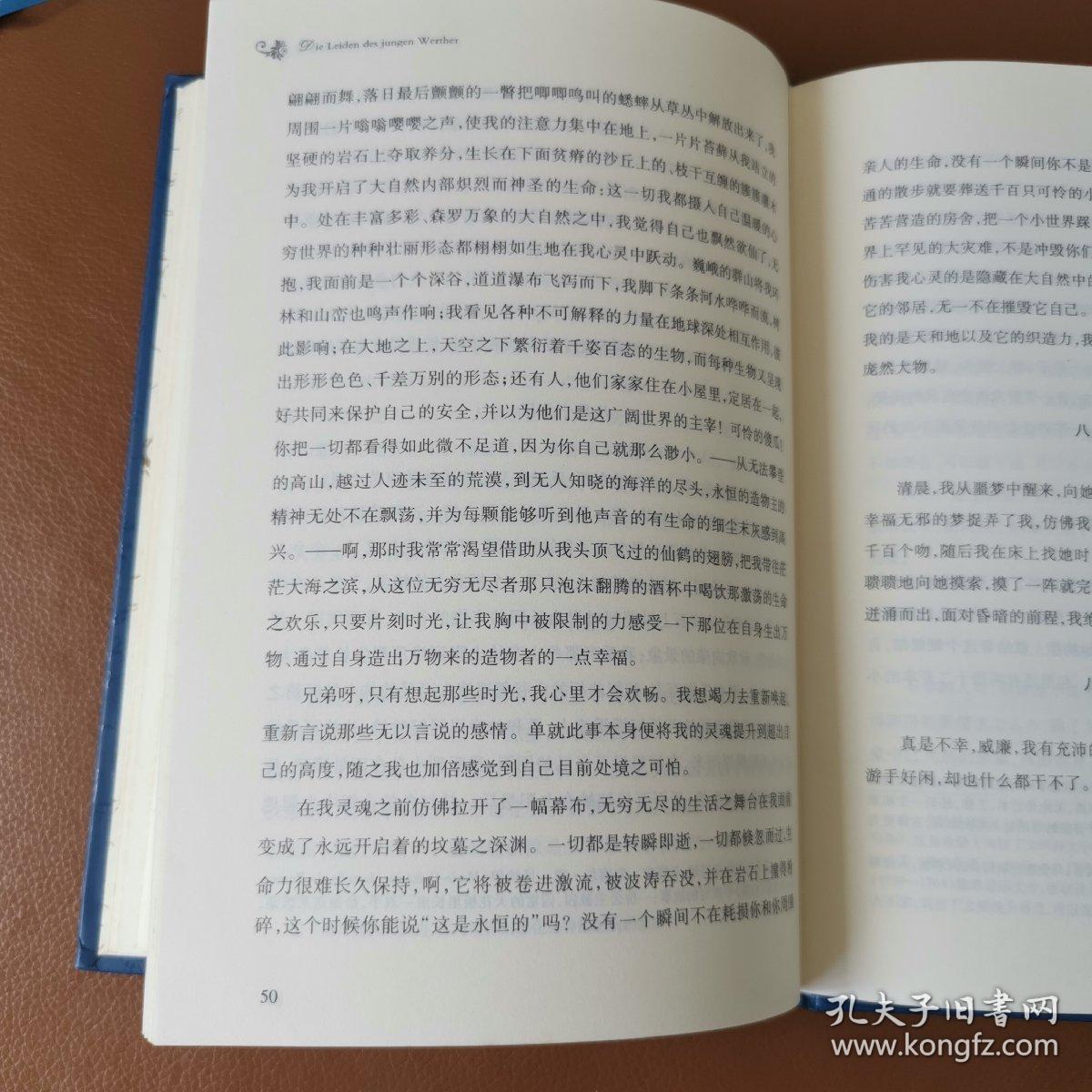 经典译林：少年维特的烦恼
