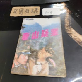 泰山疑案