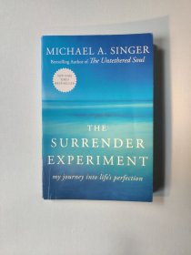 The Surrender Experiment：My Journey into Life's Perfection