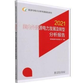 能源与电力分析年度报告系列 2021 国内外能源电力发展及转型分析报告