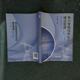 电力营销信息化项目建设管理实战