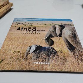 追梦·非洲:胡国和非洲摄影作品集