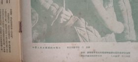 新观察1953.5（半月刊）总第60期