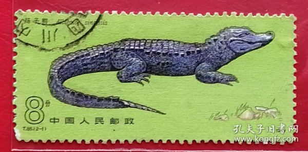 中国邮票 t85 1983年 发行量604万 扬子鳄 2-1 信销 是中国特有的一种小型鳄类，被列为国家一级重点保护野外动物。