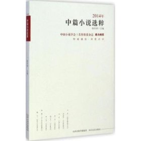 【现货速发】2014年中短篇小说选粹杨庆祥 编北岳文艺出版社