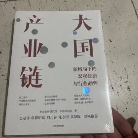 大国产业链 中金公司新作，聚焦大国产业链，探讨新格局下宏观经济与行业趋势 中信出版