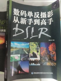 数码单反摄影从新手到高手