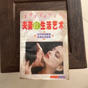 夫妻性生活艺术