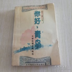 你好，青鸟！：大学生情侣两地书