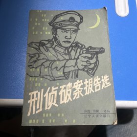 刑侦破案报告选