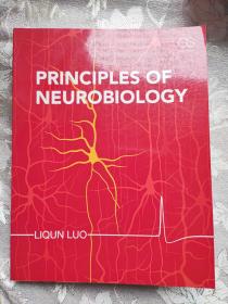 Principles of Neurobiology 神经生物学原理