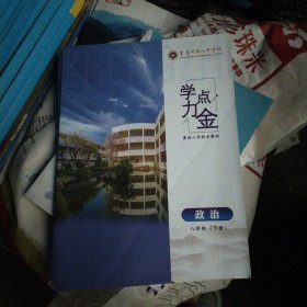 学力点金政治九年级（下册）