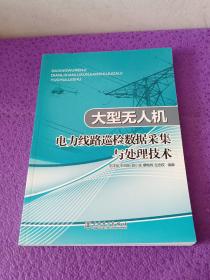 大型无人机电力线路巡检数据采集与处理技术