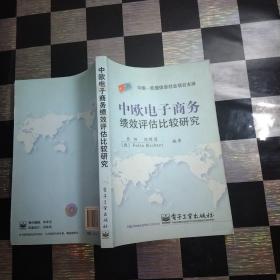 中欧电子商务绩效评估比较研究