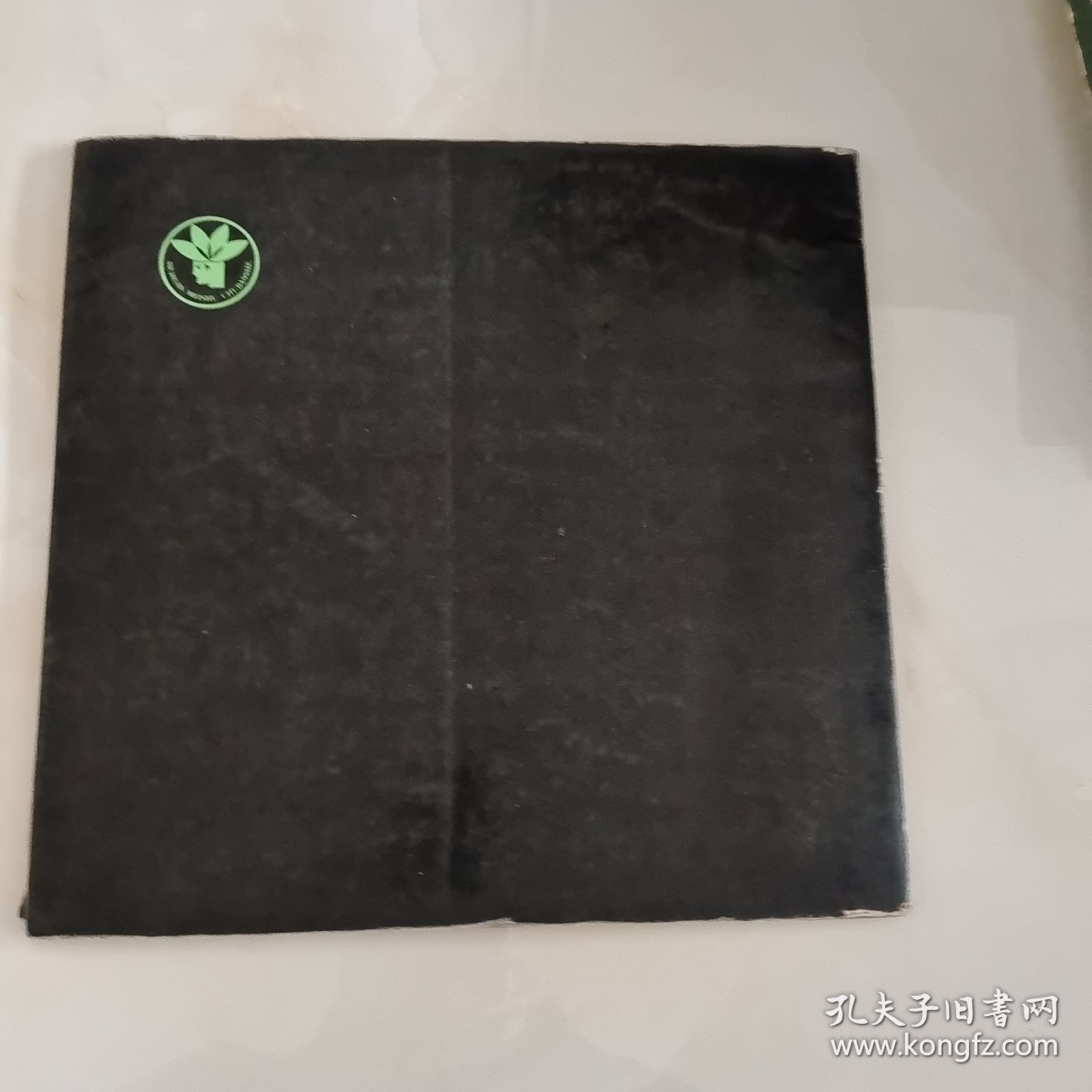 李金远画集