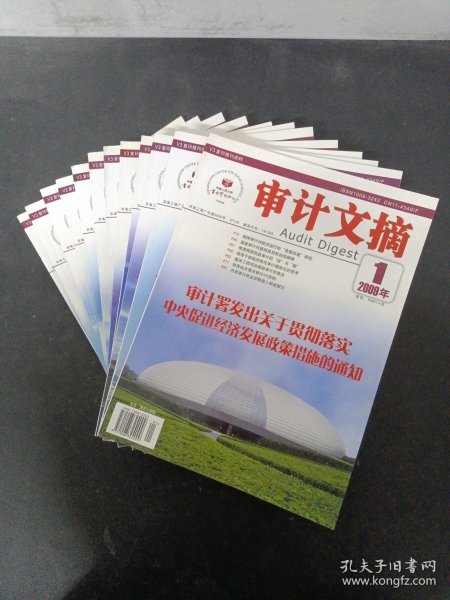 审计文摘 2009年 月刊 全年1-12期（第1、2、3、4、5、6、7、8、9、10、11、12期 总第121-132期）共12本合售 杂志