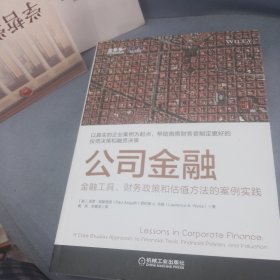 公司金融：金融工具、财务政策和估值方法的案例实践