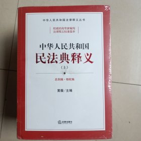 中华人民共和国民法典释义（上中下）