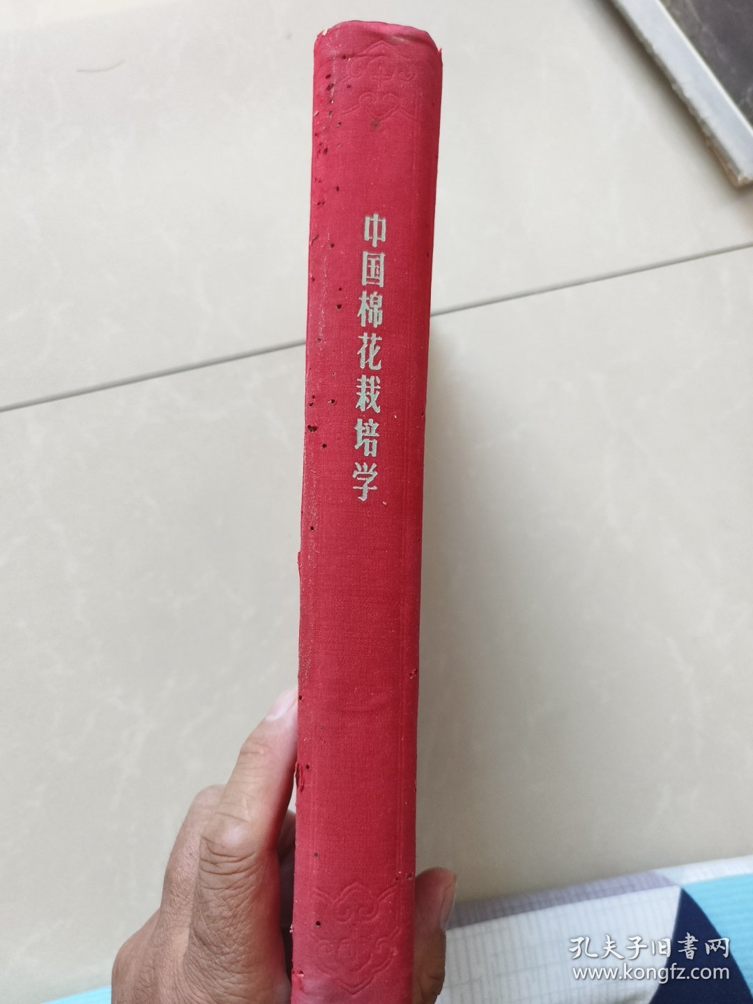 中国棉花栽培学