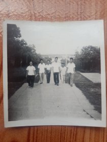 《老照片》1980年代学子们我们走在大路上