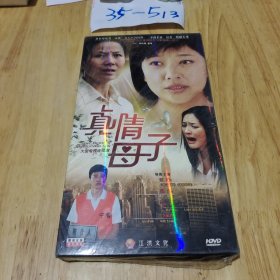 光盘：DVD 真情母子 6碟