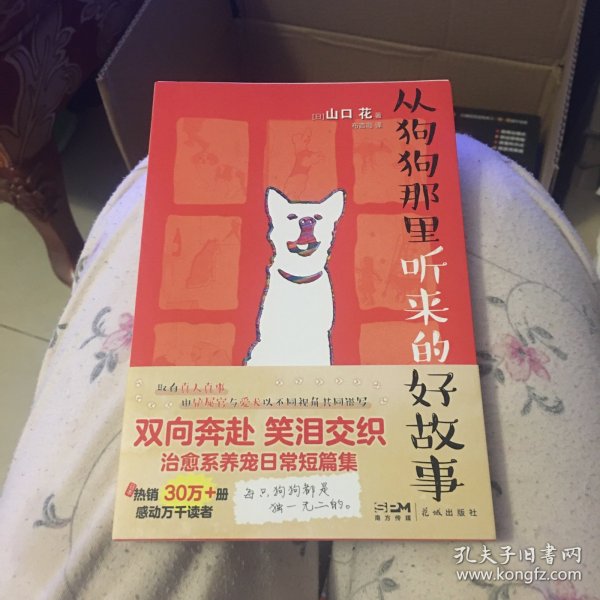 从狗狗那里听来的好故事 （取真人真事治愈系养宠故事，铲屎官与爱犬双向奔赴的催泪文，随书赠送可爱狗狗冰箱贴）