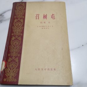 召树屯附嗄龙（极其难得的收藏书，硬精品好，彩插非常难得，我要去库存，低价出）存小西北下