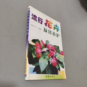 流行花卉及其养护
