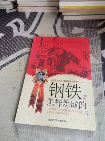 钢铁是怎样炼成的 上/俄罗斯现当代经典儿童文学大系