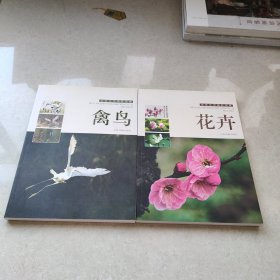 画家实用摄影图集 花卉+禽鸟 2本合售