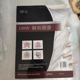 LWW解剖图谱