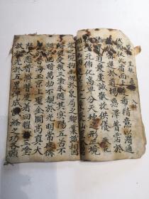 宜阳三金五苦科～csy