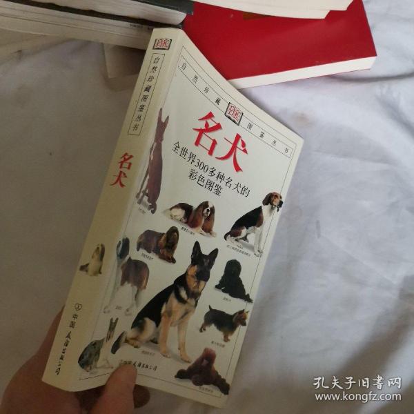 名犬：全世界300多种名犬的彩色图鉴