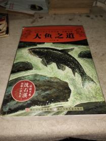 动物小说大王沈石溪·品藏书系：大鱼之道