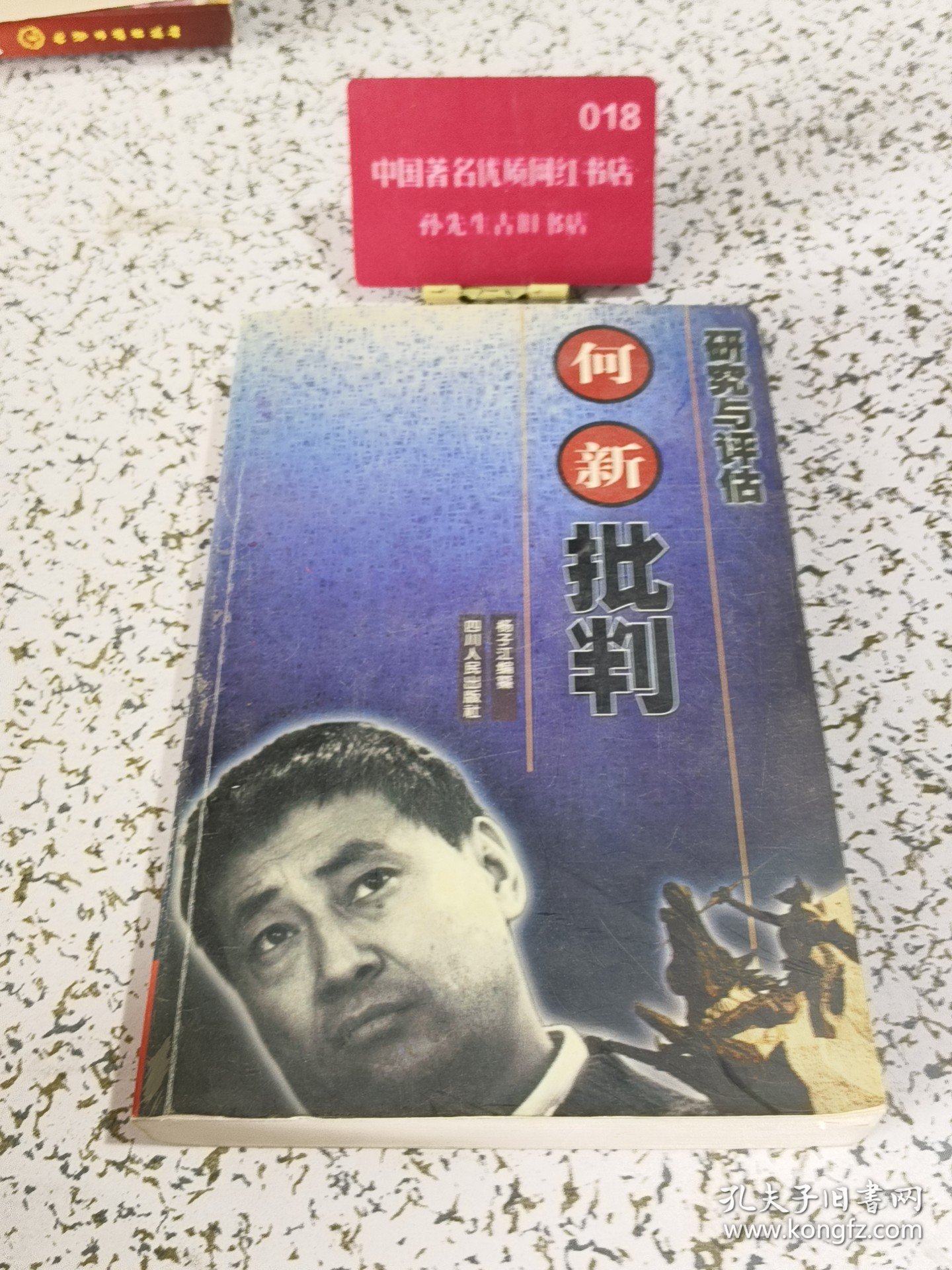 实拍图 何新批判 研究与评估