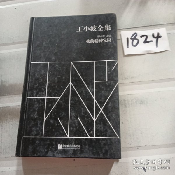 王小波全集（第八卷 杂文）：我的精神家园