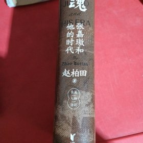 银魂：张嘉璈和他的时代