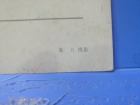 80年代西海群峰朱力摄影明信片