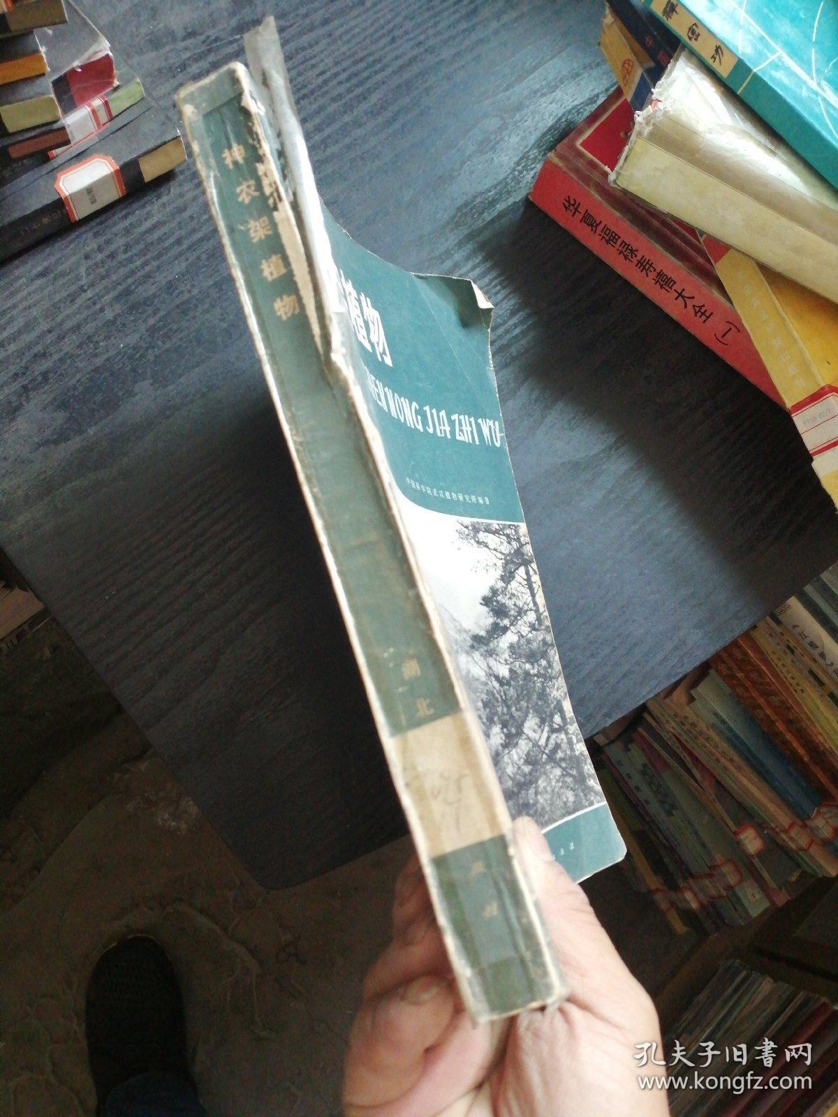 点击查看原图 神农架植物