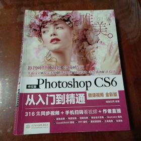中文版Photoshop CS6从入门到精通（微课视频 全彩版）中文版
