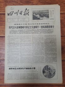 四川日报1965.4.28