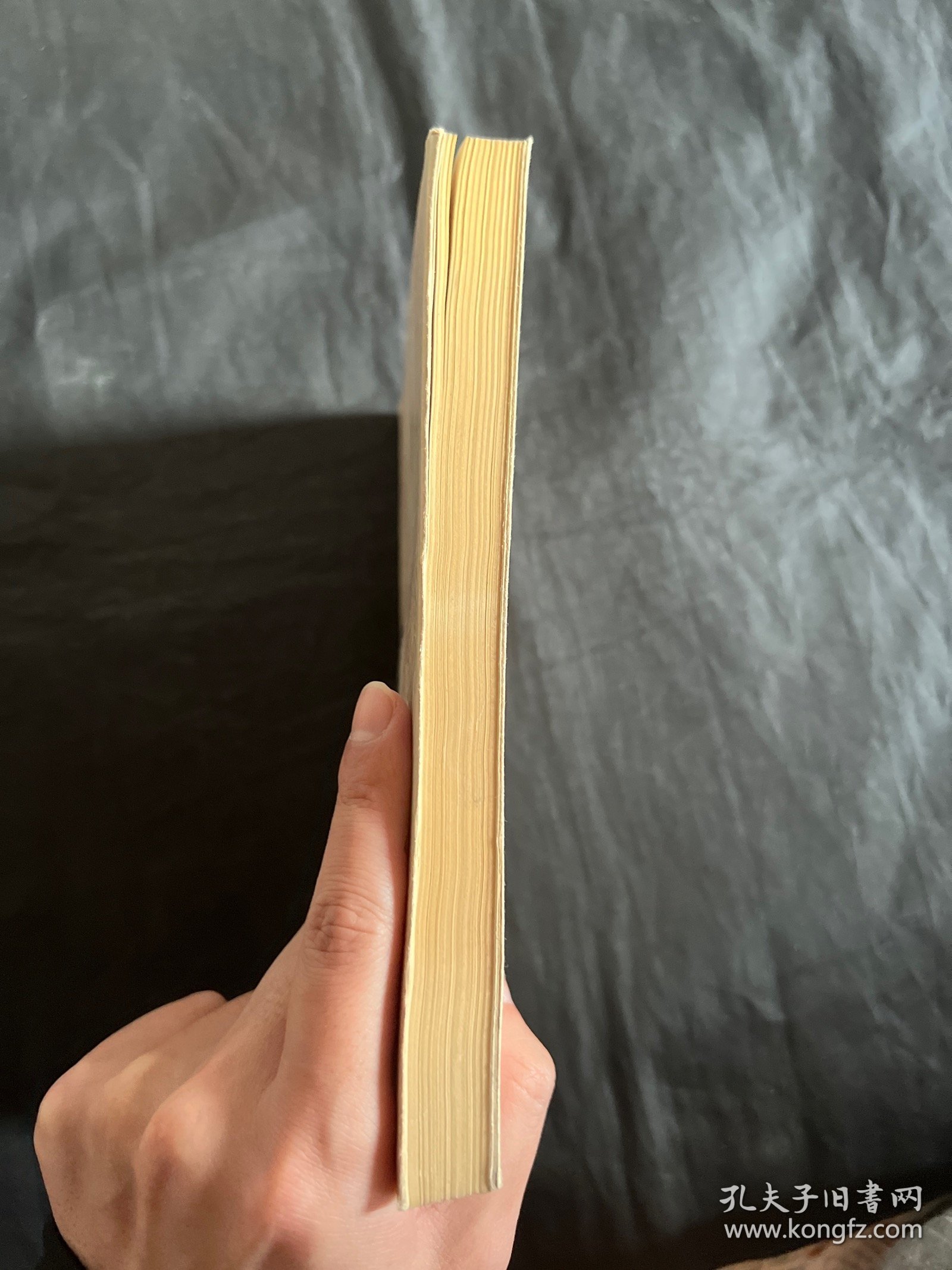 清代人物传稿下编第七卷