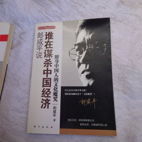 郎咸平说：谁在谋杀中国经济：附身中国人的文化魔咒