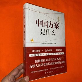 中国方案是什么
