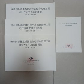 湟水河乐都主城区段生态综合治理工程可行性研究报告+附图集